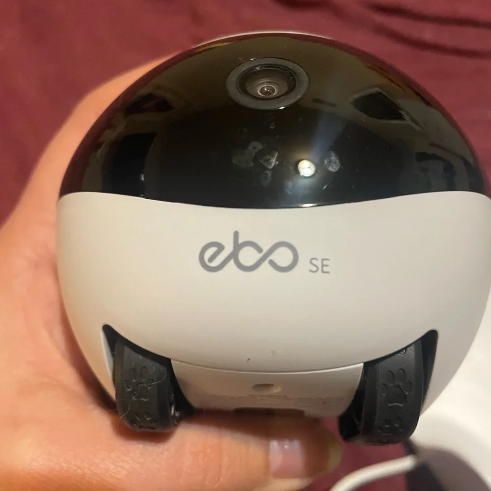 Enabot EBO SE robot Surveillance Camera - White and Black